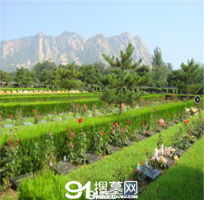 陵园风景图-10