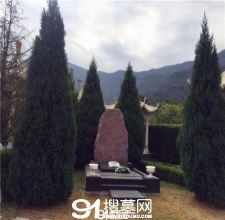 陵园风景图-1