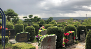 陵园风景图-6
