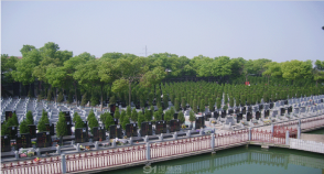 陵园风景图-6