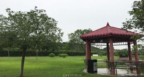 陵园风景图-5