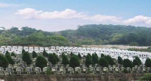 陵园风景图-2