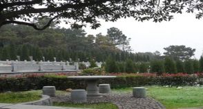 陵园风景图-2